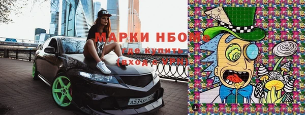 стафф Волоколамск