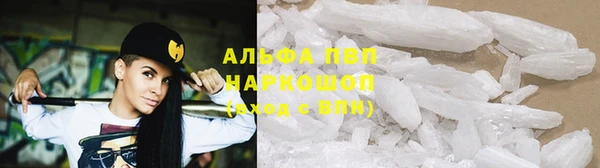 амф Володарск