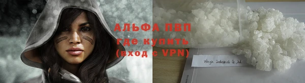 амф Володарск