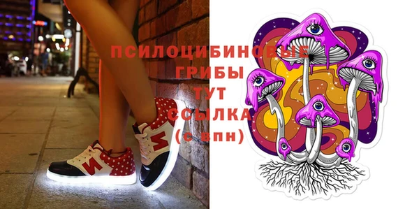 spice Ачинск