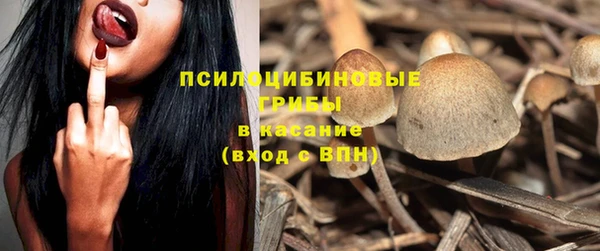 амф Володарск