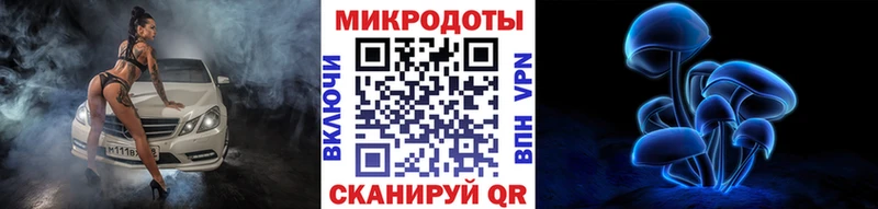купить наркотики цена  Жиздра  Псилоцибиновые грибы прущие грибы 